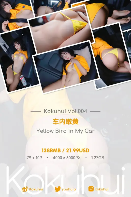 yuuhui玉汇 (Kokuhui) – NO.078 车内嫩黄 Yellow Bird in My Car 1